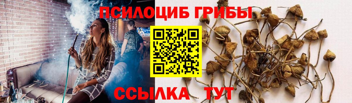Псилоцибиновые грибы мицелий Соликамск