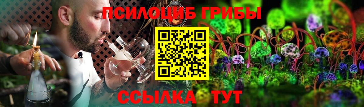 Галлюциногенные грибы Magic Shrooms  Галлюциногенные грибы Psilocybine cubensis  Соликамск  Вход с VPN 