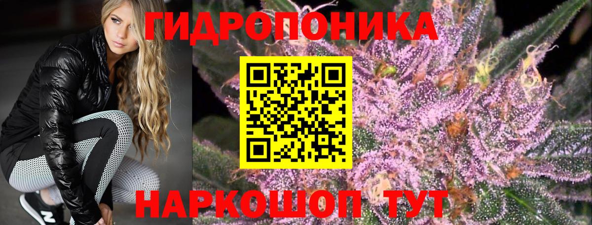 Бошки марихуана ГИДРОПОН  Бошки марихуана гибрид  Бошки Шишки марихуана  Вход с VPN  Канабис Bruce Banner  Соликамск 